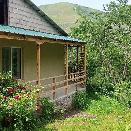 Mesxta Hotel Nakalakevi Buitenkant foto