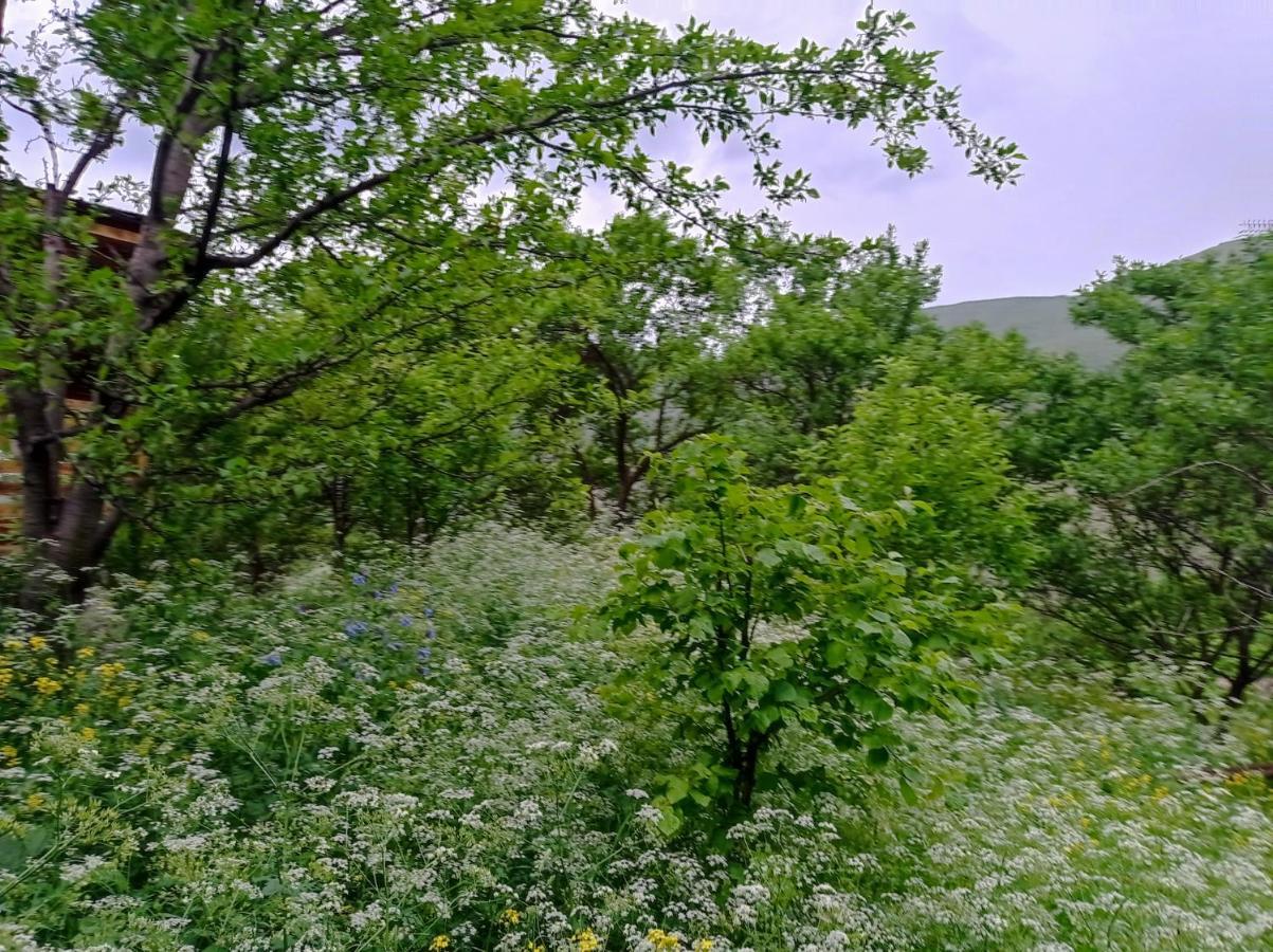 Mesxta Hotel Nakalakevi Buitenkant foto