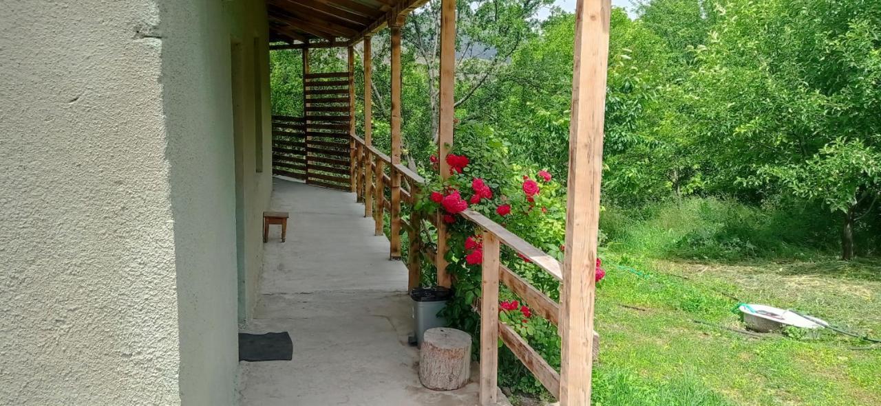Mesxta Hotel Nakalakevi Buitenkant foto
