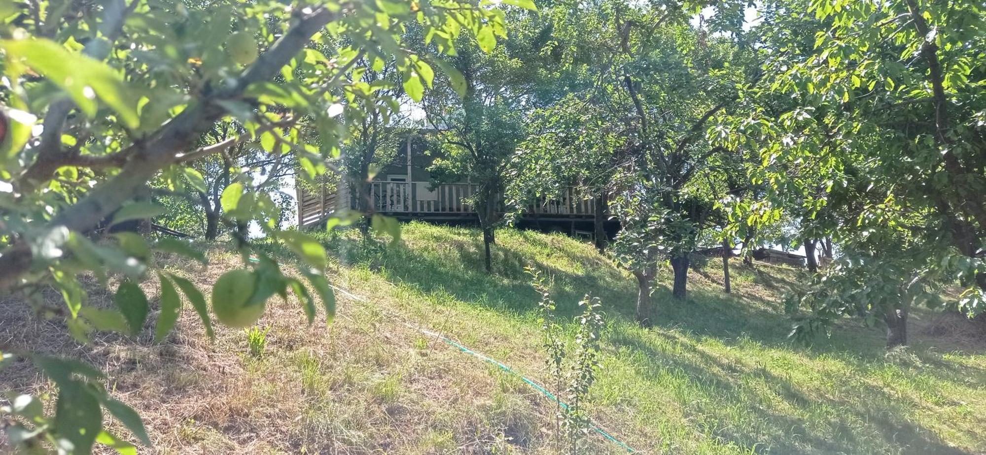 Mesxta Hotel Nakalakevi Buitenkant foto