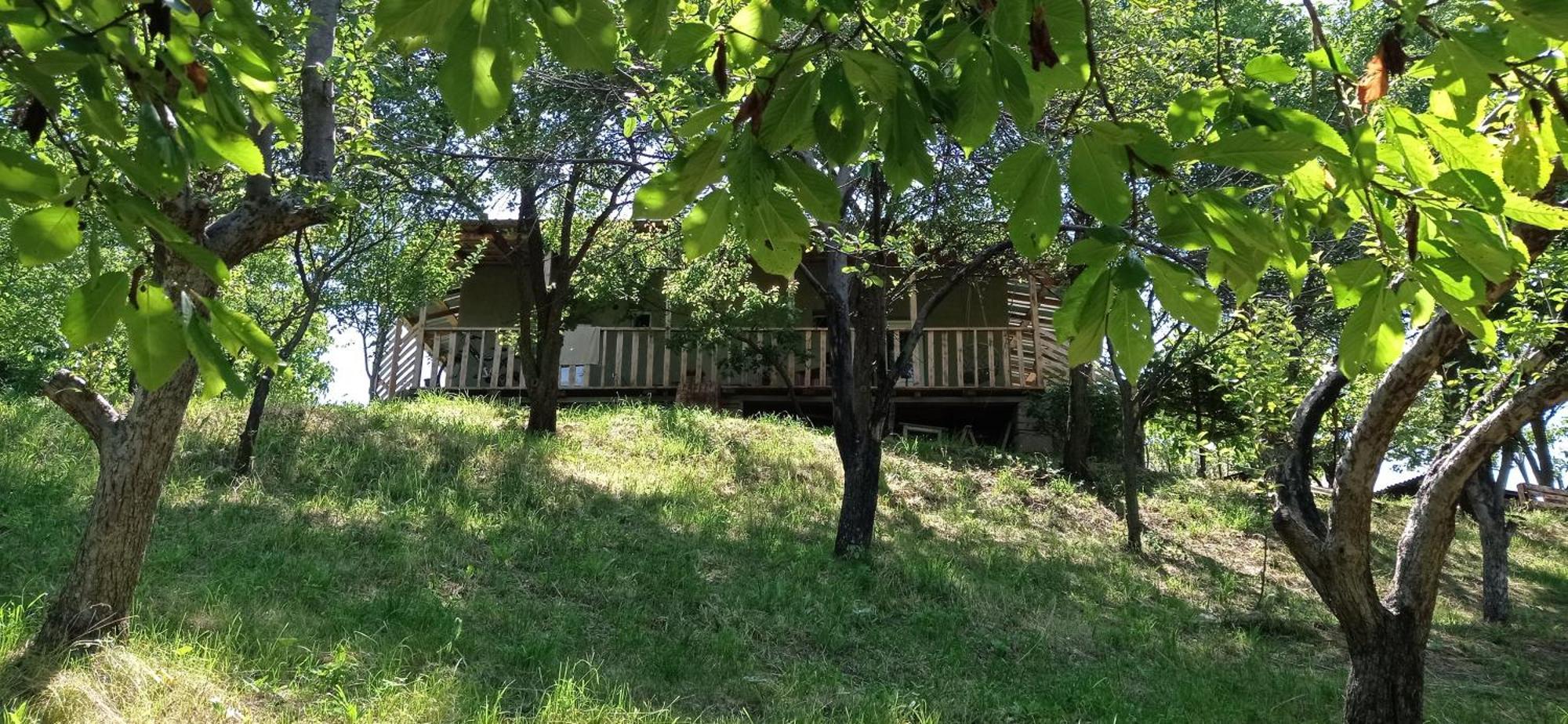 Mesxta Hotel Nakalakevi Buitenkant foto