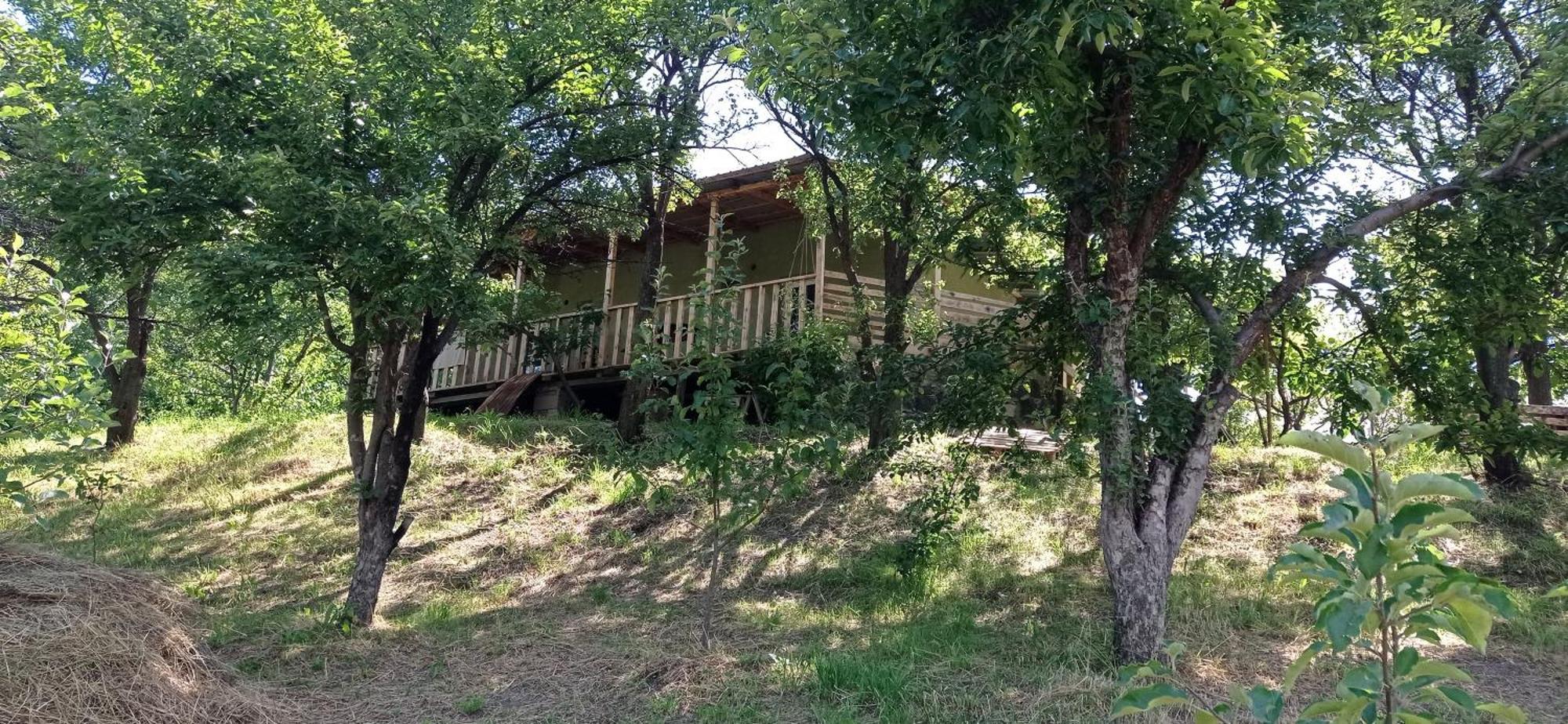 Mesxta Hotel Nakalakevi Buitenkant foto