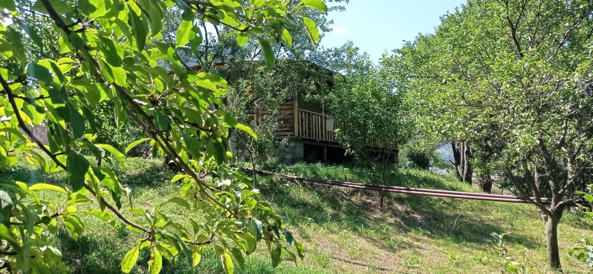 Mesxta Hotel Nakalakevi Buitenkant foto